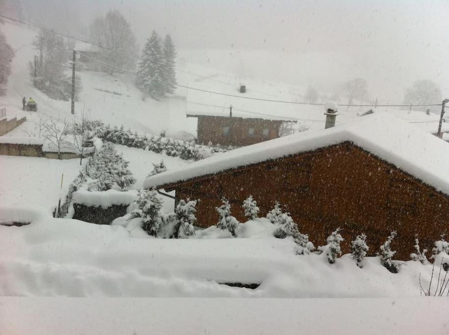 Dans Hameau, Pres Des Pistes Logement De Plein Pied Au Calme Taninges Exterior foto